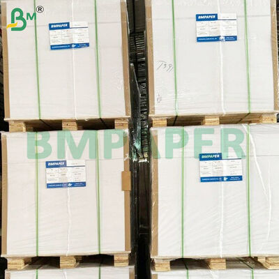 80gsm Food Safe PE Coated White Kraft Paper Rolls for Snack Bags