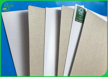 One Side White Duplex Board Roll Custom Size 230GSM 250GSM 300GSM Good Stiffness