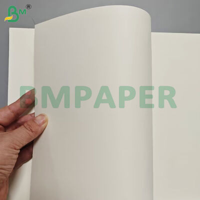 175gsm+10gsm PET Coating Heat Resistant Food Box Paper Sheets