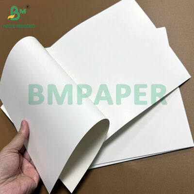 250g 300g 640 x 900mm Food Compliant GC2 folding box board For Frozen Foods