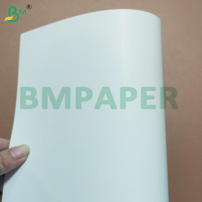 300gsm+10gsm Coating Oil Resistant White Cardboard for Food Box