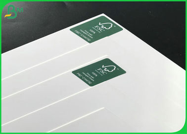 SBS / FBB Board 250gsm 300gsm 350gsm 400gsm High Stiffness Free Sample Available