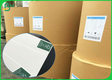 SBS / FBB Board 250gsm 300gsm 350gsm 400gsm High Stiffness Free Sample Available