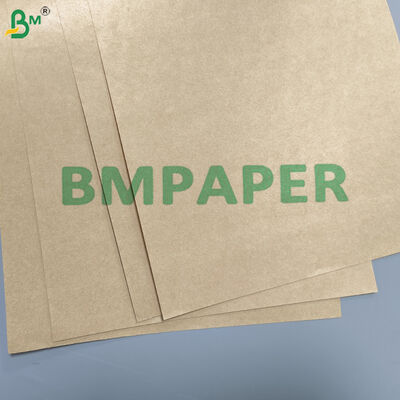 Custom Printed PE Laminated Kraft Paper For Food Bags & Liners Food Grade