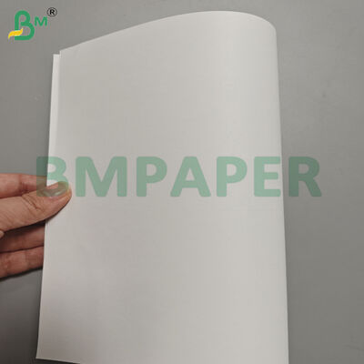 70gsm 80gsm Book Paper Rolls 889mm Width for Writing and Printing