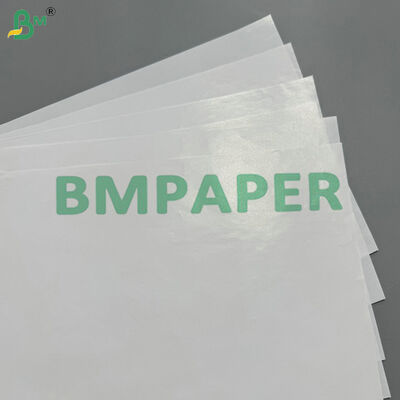 Gloss/Silk/Matte Finish 60gsm Lightweight Coated Paper (LWC) for Magazines & Catalogs
