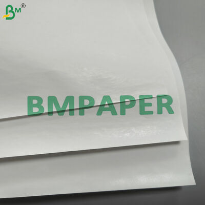 Thermal Self Adhesive Label Face Paper Raw Material Jumbo Rolls for Thermal Labels