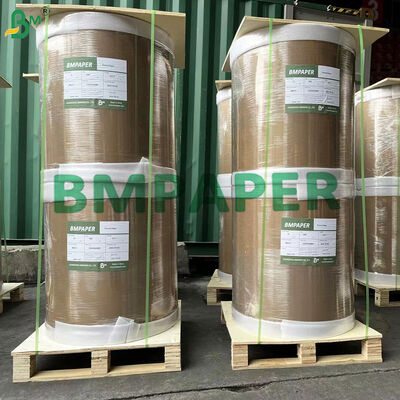 Thermal Self Adhesive Label Face Paper Raw Material Jumbo Rolls for Thermal Labels