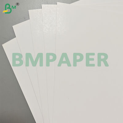 300gsm Two Side Coated Art Paper in Jumbo Rolls 38 Inch Width