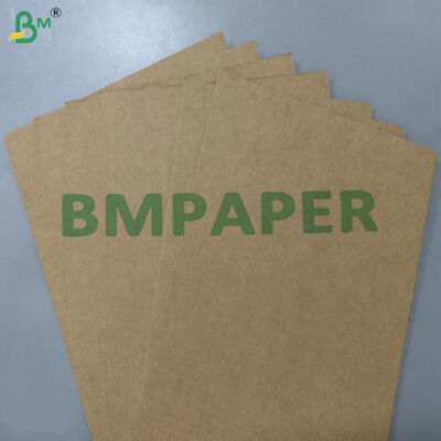 100% Food-Grade Greaseproof Compostable Raw Material 200gsm 300gsm Sugarcane Bagasse Base Paper for Disposable Tableware