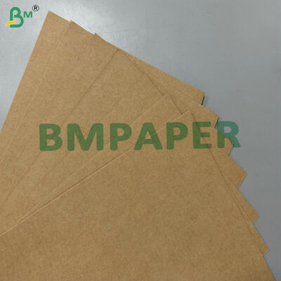 100% Food-Grade Greaseproof Compostable Raw Material 200gsm 300gsm Sugarcane Bagasse Base Paper for Disposable Tableware