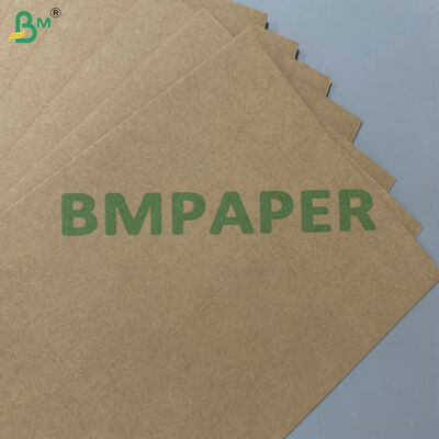 100% Food-Grade Greaseproof Compostable Raw Material 200gsm 300gsm Sugarcane Bagasse Base Paper for Disposable Tableware