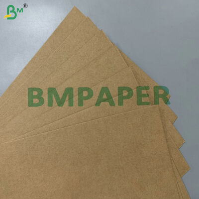 100% Food-Grade Greaseproof Compostable Raw Material 200gsm 300gsm Sugarcane Bagasse Base Paper for Disposable Tableware