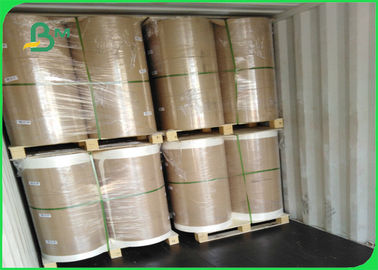 60gsm Woodfree Offset Printing Paper Good Ink Absorbency Free Sample