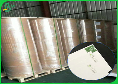 High Stiffness Duplex Board Paper 200gsm - 450gsm Thickness OEM Available