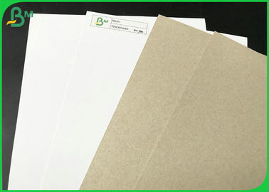 High Stiffness Duplex Board Paper 200gsm - 450gsm Thickness OEM Available