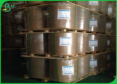 High Stiffness Kraft Liner Board 250gsm - 400gsm For Packaging Boxes