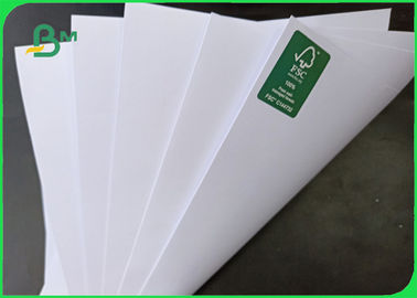 180g FSC Support High Hardness And Good Stiffness Woodfree Paper In Roll