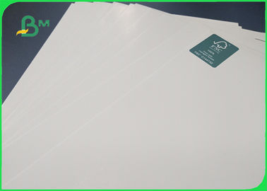 300gsm FSC Approved Virgin Pulp One Side Coated Gloosy White Cardboard In Roll