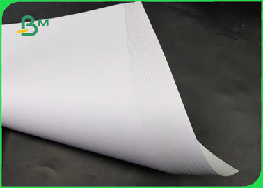 Grade A White Woodfree Offset Paper / Printing Paper 60 - 140g Size Customized