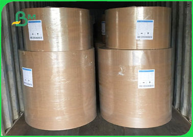 Paper Plate Raw Material PE Coated Brown Kraft Plain Paper 700mm Coils