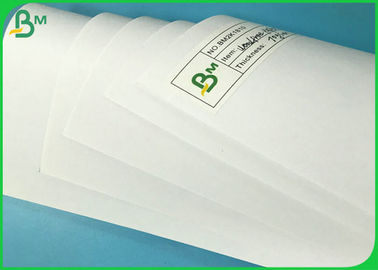 60G 70G  Wood Free White Offset Writting Paper Sheet Or Roll Custom Service