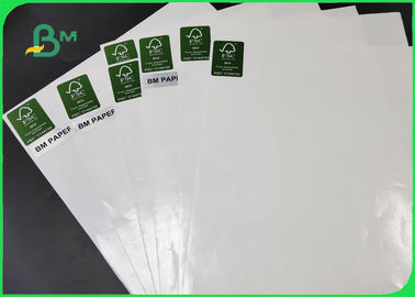 70g + 20g Woodfree Offest Paper PE Coated Greaseproof And Waterproof In Sheets