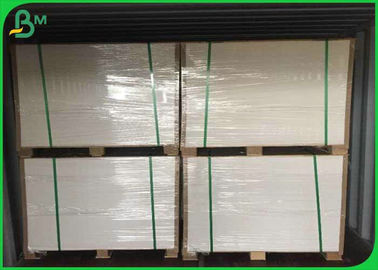 Fully Safe & Clean 70*100cm 160gsm +12g PE Cup Paper Roll For Coffee Cup