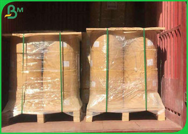 Fully Safe & Clean 70*100cm 160gsm +12g PE Cup Paper Roll For Coffee Cup