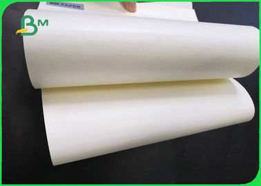 Disposable 300gsm + 10g PE Lunch Box Paper For Food Packing 100% Biodegradable