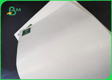 Disposable 300gsm + 10g PE Lunch Box Paper For Food Packing 100% Biodegradable