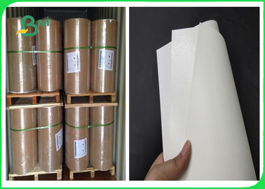 300gsm Ivory Board + 15g PE Coated Paper With For Making Lunch Box