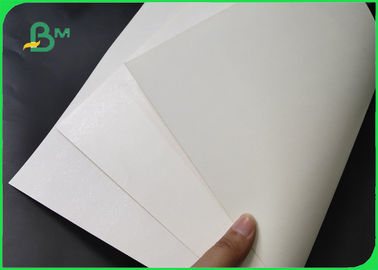 300gsm Ivory Board + 15g PE Coated Paper With For Making Lunch Box