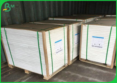 Food Grade Oil Resistance 150gsm - 300gsm PE Coated Paper For Food Packages