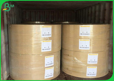 Food Grade Oil Resistance 150gsm - 300gsm PE Coated Paper For Food Packages