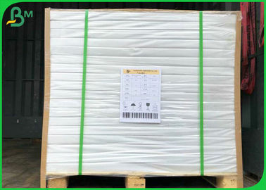 55gsm 60gsm Reels Size 900mm FSC Certified Exercise Book Paper For Printing