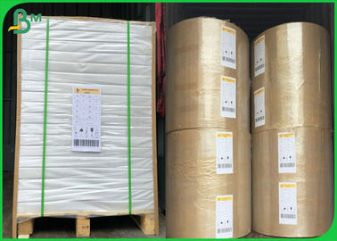 High Bulk 70gsm 80gsm Bond Paper /  School Book Paper 1000MM Width Reels