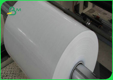 300gsm White PE Coated Ivory Board For Making Food Box 50 * 70cm