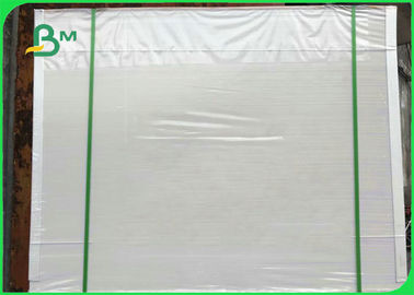 300gsm White PE Coated Ivory Board For Making Food Box 50 * 70cm
