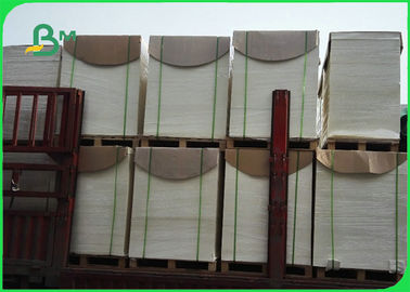 300gsm White PE Coated Ivory Board For Making Food Box 50 * 70cm