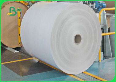 300gsm + 12g Poly Ethylene Coated Paper White cardboard In Sheet 61 * 86cm FDA