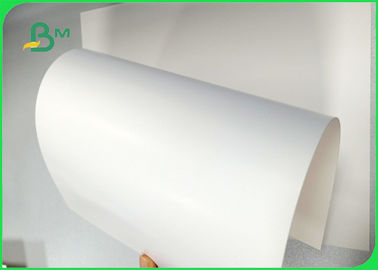 Width 700×1000mm Good Smoothness 270gsm 300gsm 350gsm Ivory Board For Packages