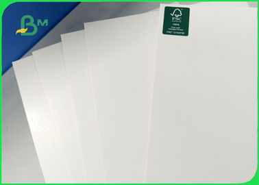 Width 700×1000mm Good Smoothness 270gsm 300gsm 350gsm Ivory Board For Packages