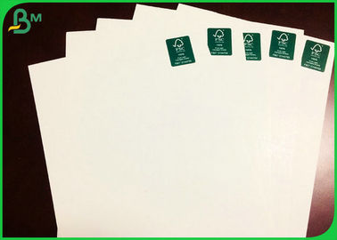 300GSM 610*860MM White Color C1S Ivory Board For Making Folding Box