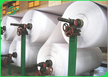 UWF Uncoated Woodfree Paper In Reels OBA Free 80gsm 100gsm 120gsm