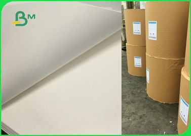 FSC White Food Grade Bleached Kraft Paper Roll 60 Gsm 70 Gsm 80 Gsm 120 Gsm