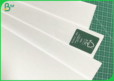 75gsm 80gsm 100gsm 100% Wood Pulp Offset Paper In Reel For School Book Use