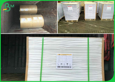 75gsm 80gsm 100gsm 100% Wood Pulp Offset Paper In Reel For School Book Use