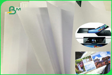 Long Grain Wood Free Uncoated Offset Printing Paper With High Whiteness