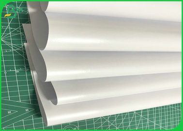 Pure Natural 70gsm + 10g PE Coated White Butcher Paper For Wrapping Meat